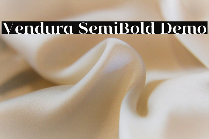Vendura SemiBold Demo Example 3