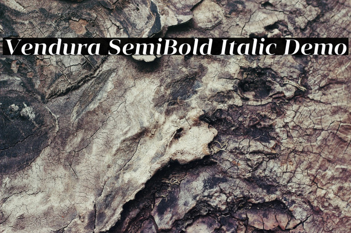 Vendura SemiBold Italic Demo Example 2