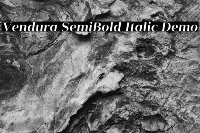 Vendura SemiBold Italic Demo Font examples
