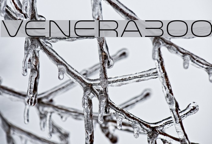Venera300 Font examples
