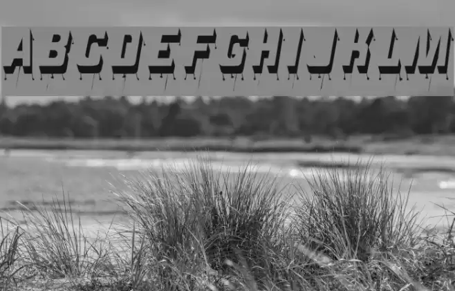 Venerada Font examples