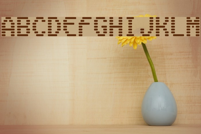Venetia Monitor Font examples