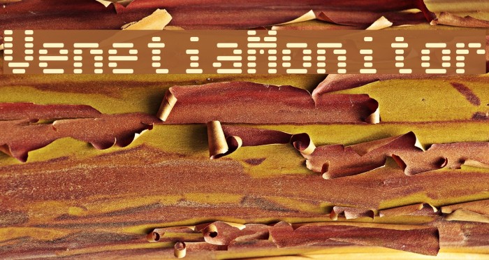VenetiaMonitor Font examples