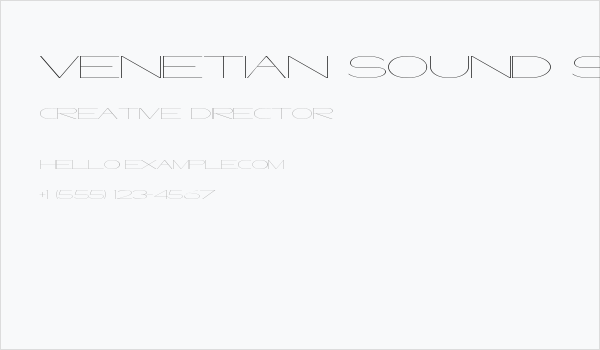 Venetian Sound System Business Card