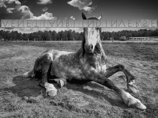 VenetianBlindInverse Font examples