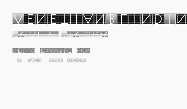 VenetianBlindInverse Business Card