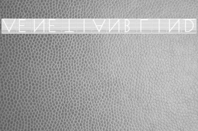 VenetianBlind Fonte examples