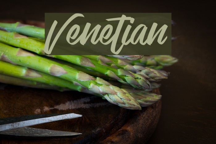 Venetian Font examples