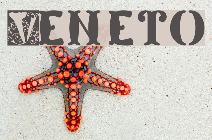 Veneto Font examples