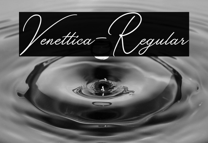 Venettica-Regular Example 2