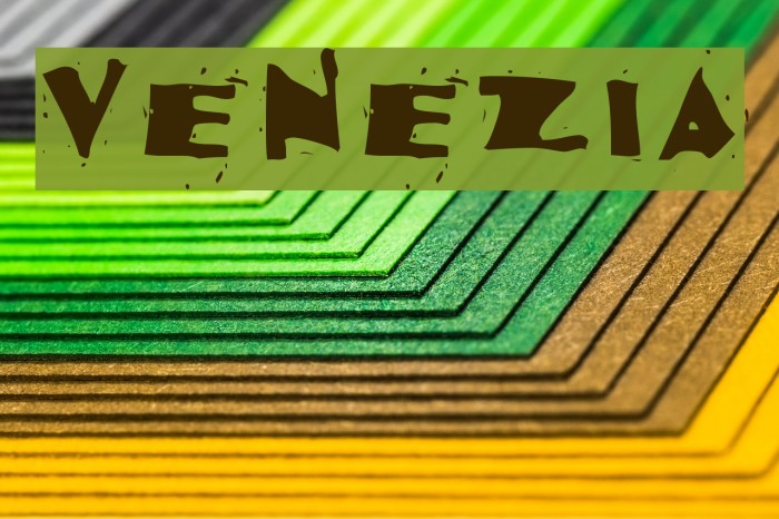 Venezia Font examples