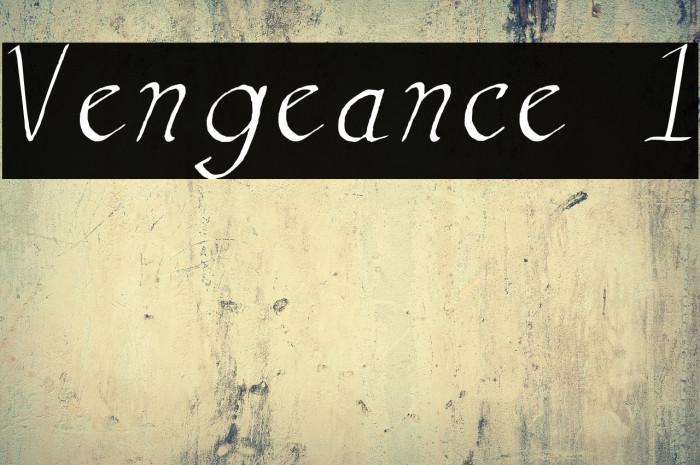 Vengeance 1 Example 1