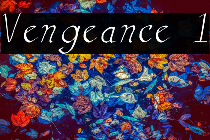 Vengeance 1 Example 2