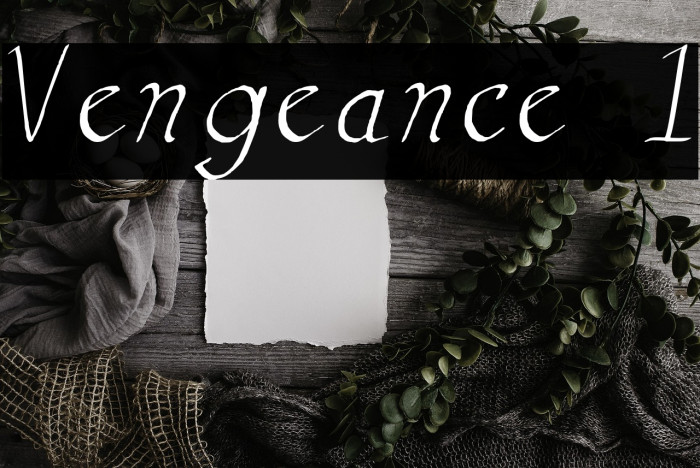 Vengeance 1 Example 3