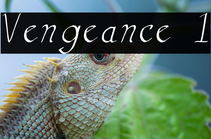 Vengeance 1 Example 3