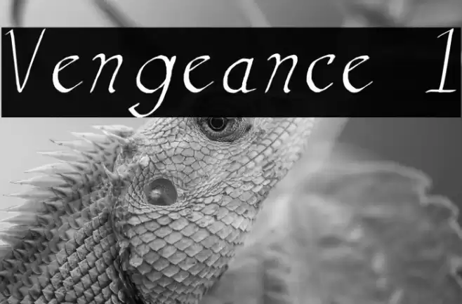 Vengeance 1 Font examples