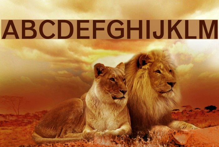 Vengeance Regular Example 2