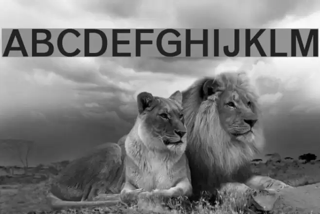 Vengeance Regular Font examples