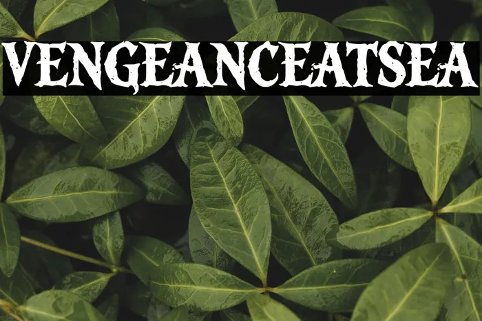 Vengeance at Sea Example 1