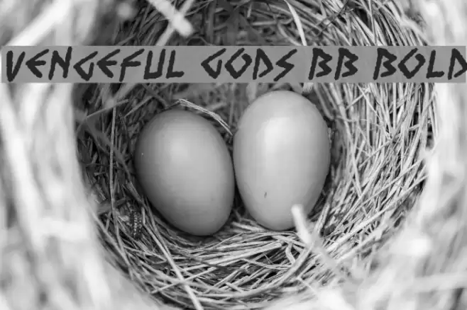 Vengeful Gods BB Bold Font examples