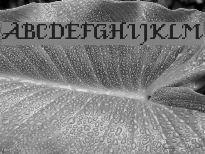 Venice Classic Font examples