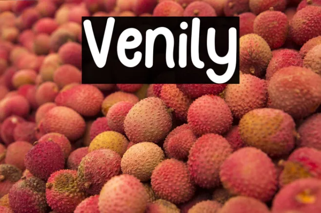 Venily Example 1