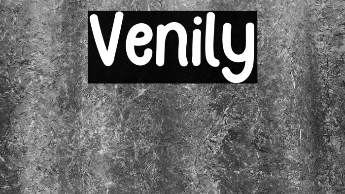 Venily Example 2