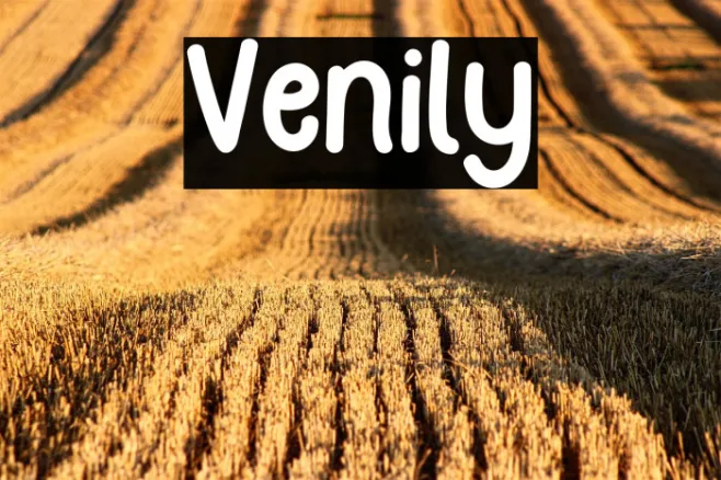 Venily Example 3