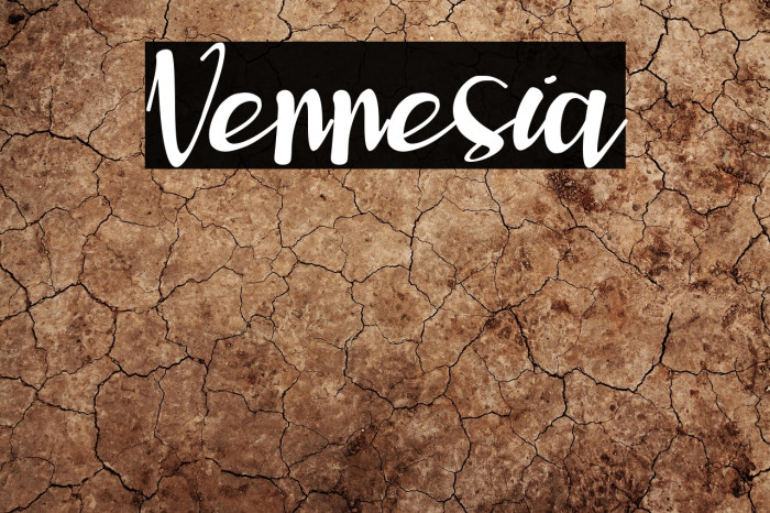 Vennesia Example 1