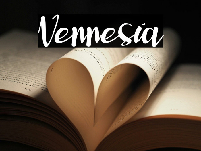 Vennesia Example 2