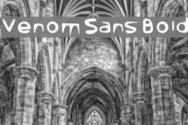 Venom Sans Bold Font examples
