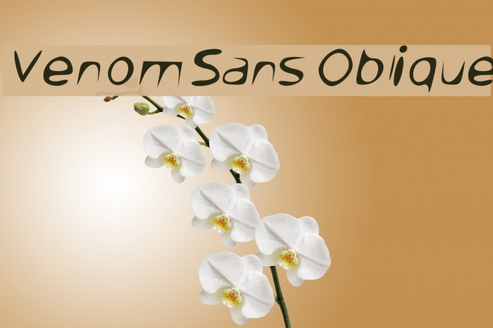 Venom Sans Oblique Example 2