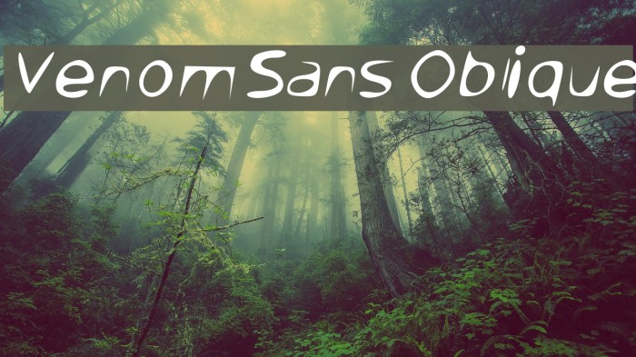 Venom Sans Oblique Example 3