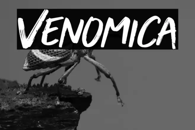 Venomica Font examples