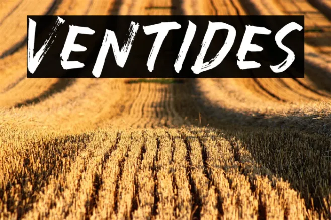 Ventides Example 2