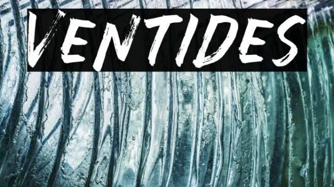 Ventides Example 3
