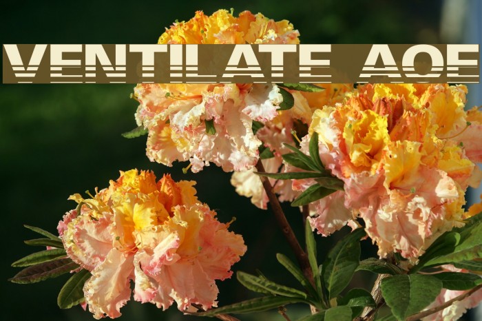 Ventilate AOE Font examples