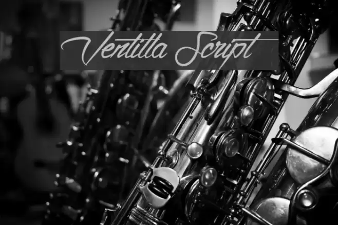 Ventilla Script Font examples