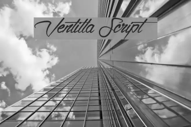 Ventilla Script Font examples