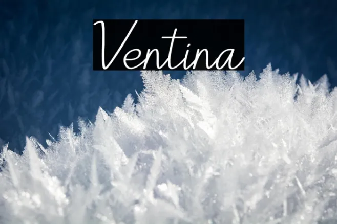Ventina Example 1