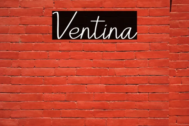 Ventina Example 2