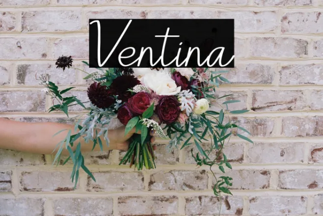 Ventina Example 3
