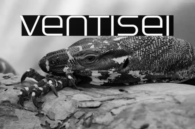 Ventisei Font examples