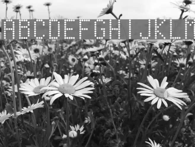 VentouseOfThePoulp Font examples