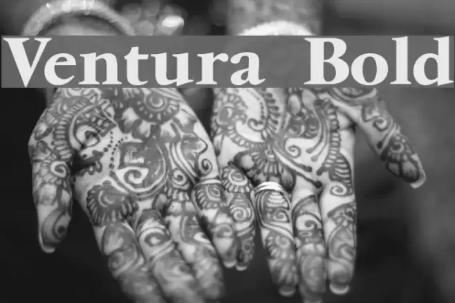 Ventura Bold Font examples