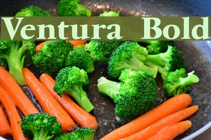 Ventura Bold Example 2