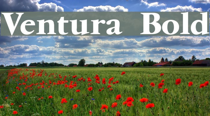 Ventura Bold Example 3