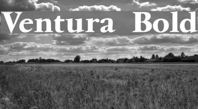 Ventura Bold Font examples
