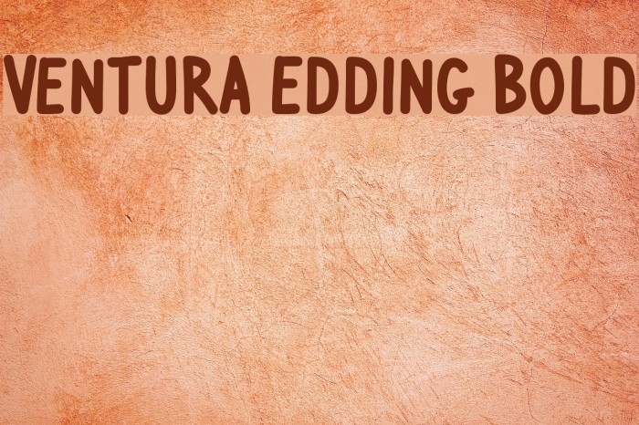 Ventura Edding Bold フォント examples