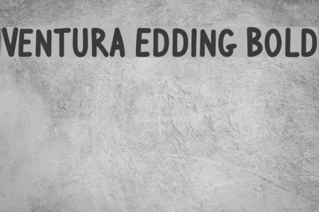 Ventura Edding Bold Font examples